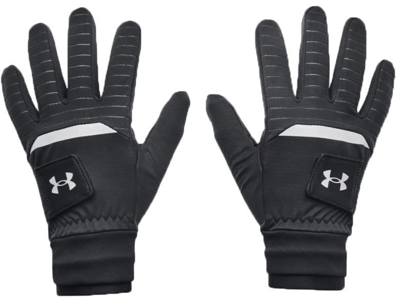 Handschoenen Under Armour UA CGI Golf Glove